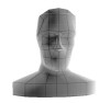 3D head