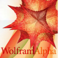 Wolfram Alpha